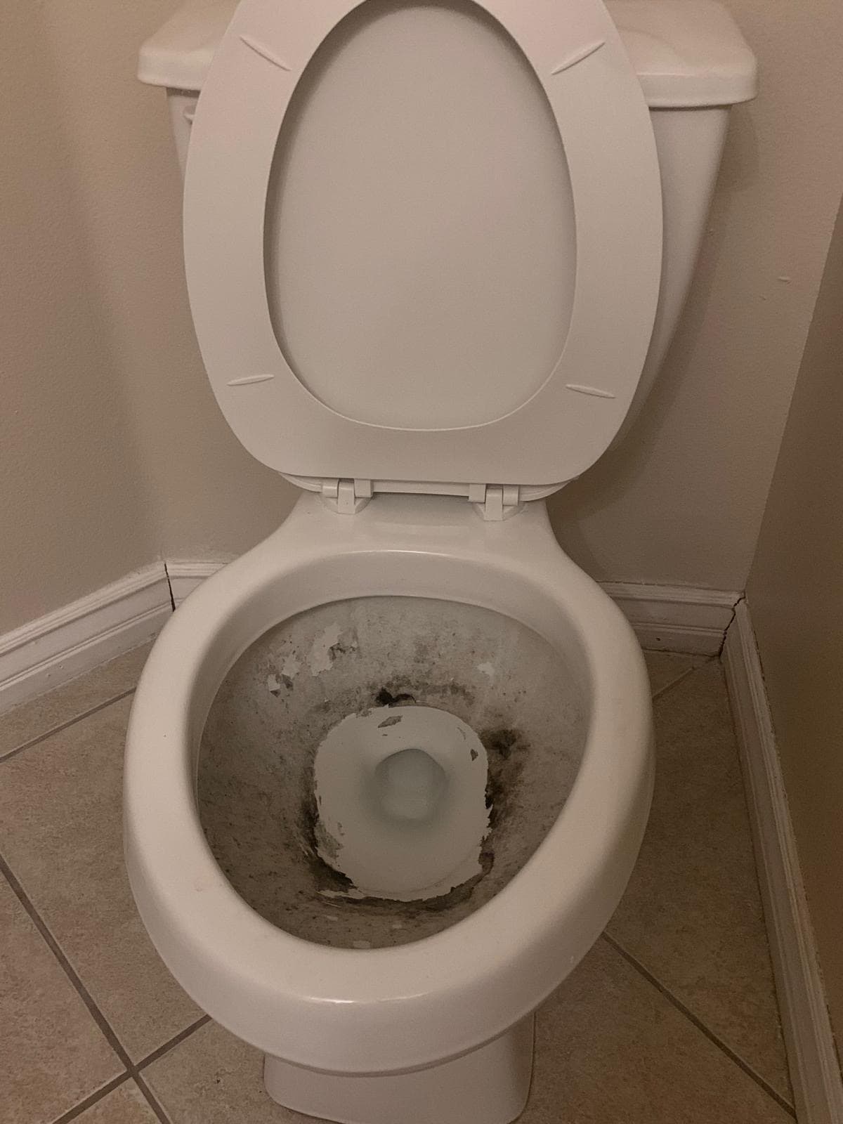 Before: Bathroom Deep Cleaning