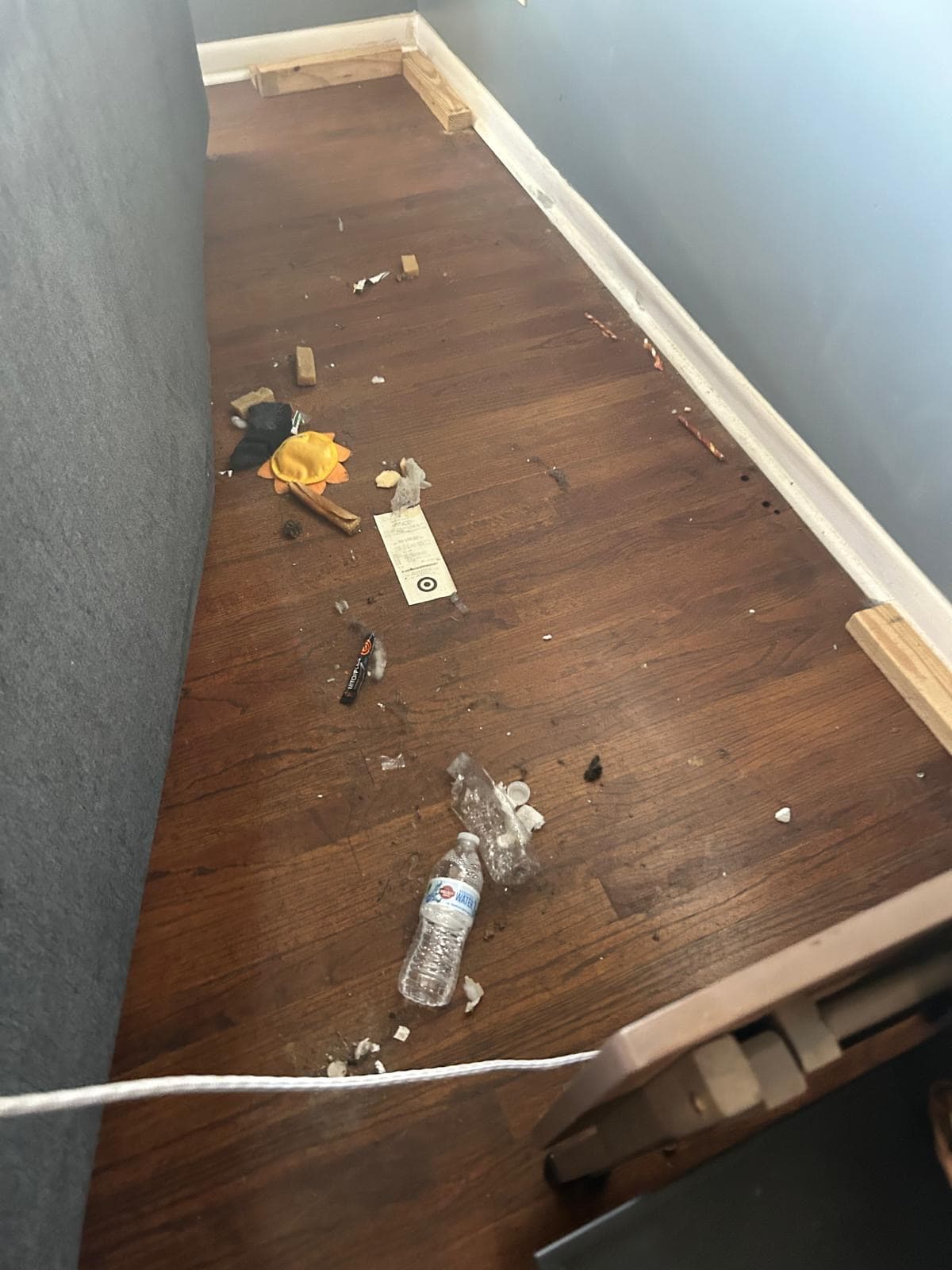 Before: Living Room Floor Cleaning